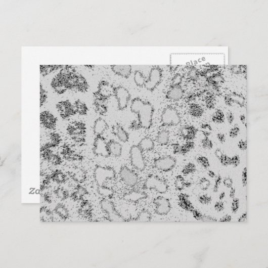 Sneeuwluipaard Briefkaart (Voorkant / Achterkant)