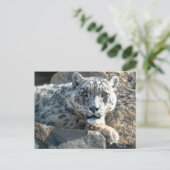 Sneeuwluipaard Briefkaart (Staand voorkant)
