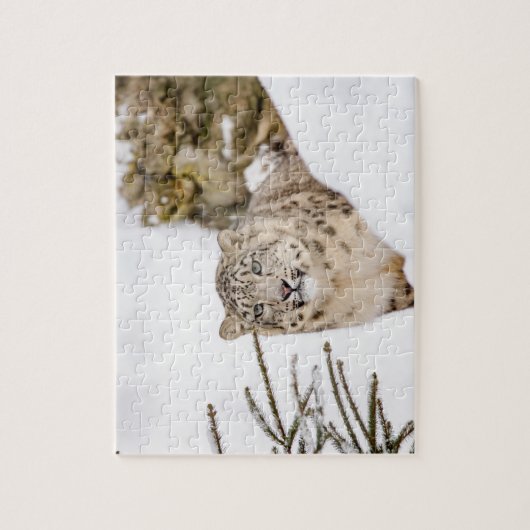 Sneeuwluipaard in de sneeuw legpuzzel (Verticaal)