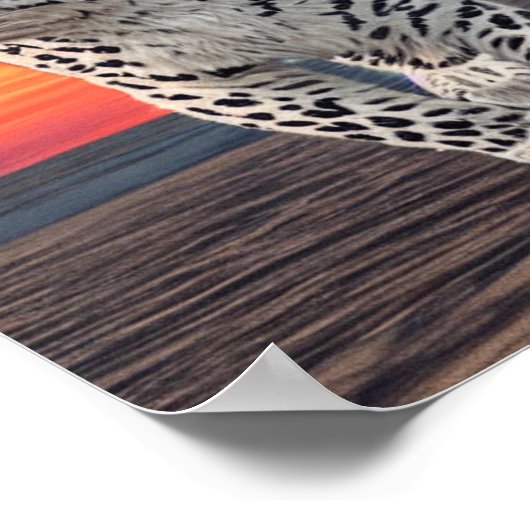 Sneeuwluipaard loopt op het strand tijdens een zon poster (Hoek)