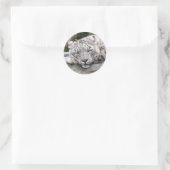 Sneeuwluipaard - mooi! ronde sticker (Tas)