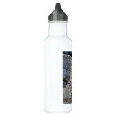 Sneeuwluipaard na ogen waterfles (Links)