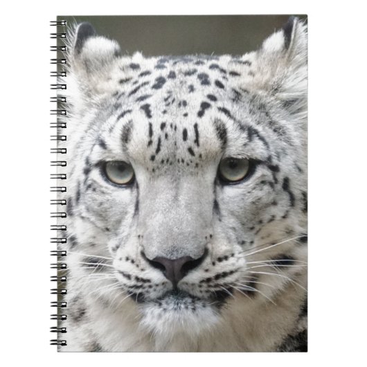 Sneeuwluipaard Notitieboek (Voorkant)