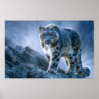 Sneeuwluipaard op bergtop – Wilde natuur Poster