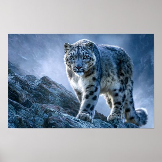 Sneeuwluipaard op bergtop – Wilde natuur Poster (Voorkant)