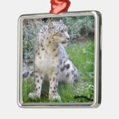 Sneeuwluipaard op het gras metalen ornament (Links)