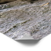 Sneeuwluipaard Poster (Hoek)