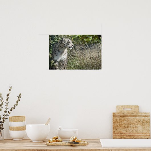 Sneeuwluipaard Poster (Keuken)