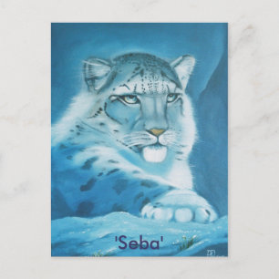 sneeuwluipaard, "Seba" Briefkaart