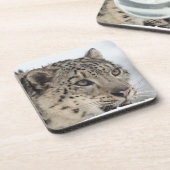 Sneeuwluipaard (Uncia uncia) 2 Onderzetter (Linkerzijde)