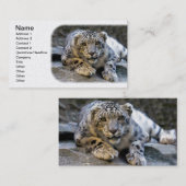 Sneeuwluipaard Visitekaartje (Voorkant / Achterkant)