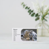 Sneeuwluipaard Visitekaartje (Staand voorkant)