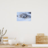 Sneeuwluipaard Wild Dier Natuurlijke Omgeving Poster (Keuken)