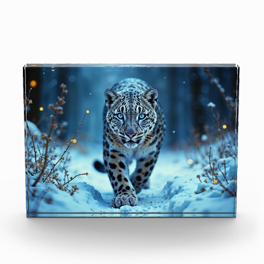 Sneeuwluipaard winter majestueuze blauwogige roofd fotoblokken (Voorkant)