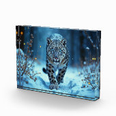 Sneeuwluipaard winter majestueuze blauwogige roofd fotoblokken (Rechts)