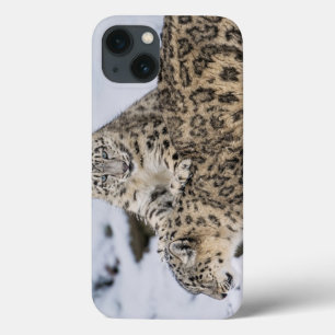 Sneeuwluipaarden: iPhone 13 Hoesje