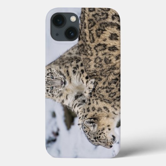 Sneeuwluipaarden: Case-Mate iPhone Case (Achterkant)
