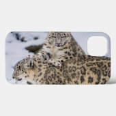 Sneeuwluipaarden: Case-Mate iPhone Case (Achterkant (horizontaal))