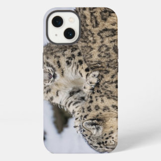 Sneeuwluipaarden: iPhone 13 Hoesje