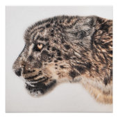 Sneeuwluipaardmuur poster (Voorkant)