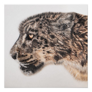 Sneeuwluipaardmuur poster