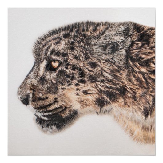 Sneeuwluipaardmuur poster (Voorkant)