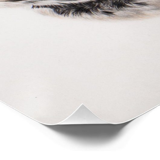 Sneeuwluipaardmuur poster (Hoek)