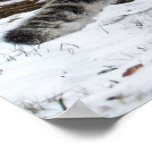 Sneeuwluipkuiken Stalking Birds Poster (Hoek)