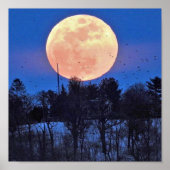 Sneeuwmaan 2017 poster (Voorkant)