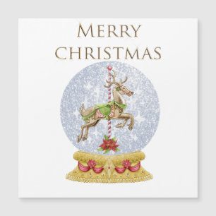  sneeuwmagneet wereldbol