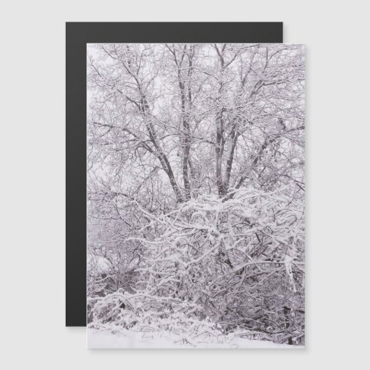 sneeuwmagnetisch blanco Kaart (Voorkant / Achterkant)