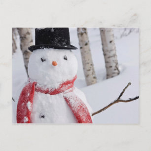 Sneeuwman met Scarf en Top Hat Feestdagenkaart