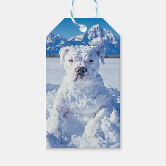 Sneeuwman Pitbull Puppy Dog Grand Tetons Gift Labe Cadeaulabel (Voorkant)