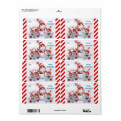  Sneeuwman Teddy Bear Kerst Labels (Full Sheet)