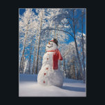 Sneeuwman voor met sneeuw bedekt bos feestdagenkaart<br><div class="desc">Sneeuwman met rode sjaal en zwarte hoge hoed die staat voor een met sneeuw bedekt berkenbos,  winter,  Eagle River,  Alaska,  Verenigde Staten. | Design Pics / DanitaDelimont.com | US02 DPI0917</div>