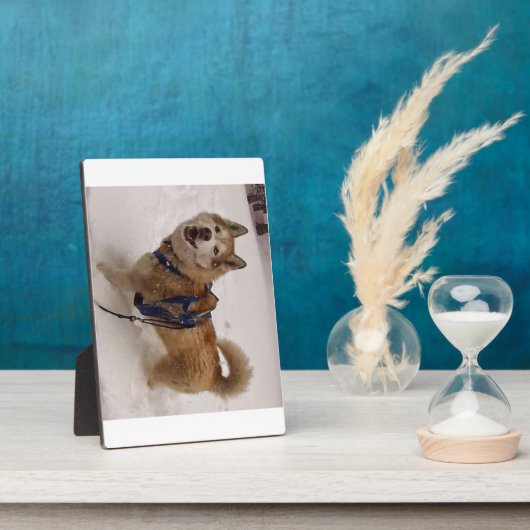 Sneeuwmaximum met Easel (5 x 7) Fotoplaat (Zijkant)