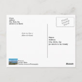 Sneeuwmosterd bij het Briefkaart van het tafelRock (Achterkant)