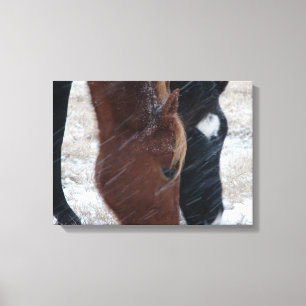 Sneeuwooien Canvas Afdruk