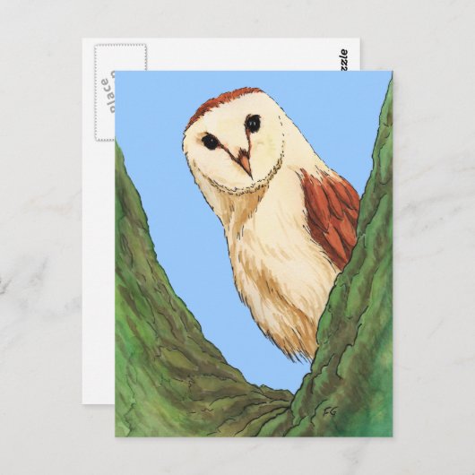 sneeuwowl briefkaart (Voorkant / Achterkant)