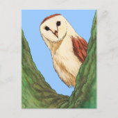 sneeuwowl briefkaart (Voorkant)