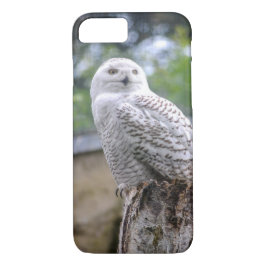 Sneeuwowl iPhone 8/7 Hoesje
