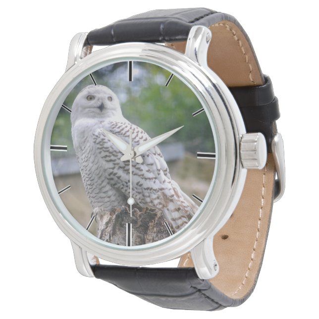 Sneeuwowl Horloge (Gekanteld)