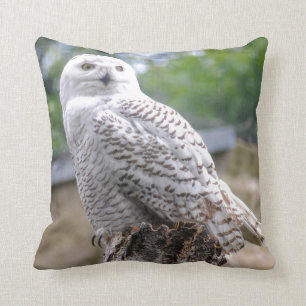 Sneeuwowl Kussen