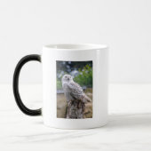 Sneeuwowl Magische Mok (Links)