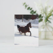 Sneeuwpaard Briefkaart (Staand voorkant)