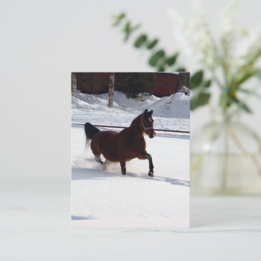 Sneeuwpaard Briefkaart (Staand voorkant)