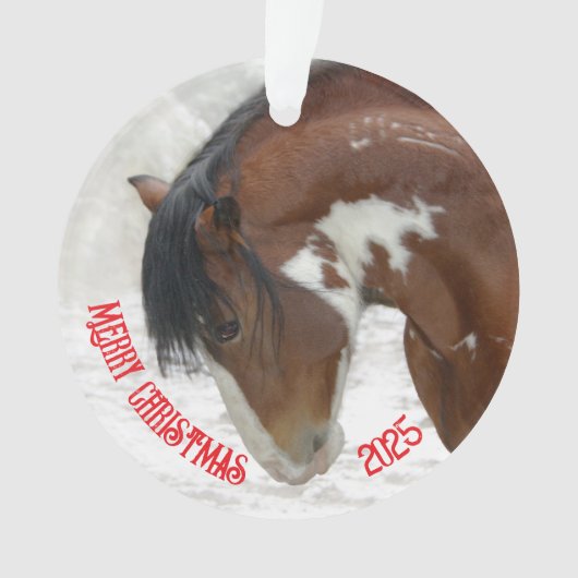 Sneeuwpaard Kerst Acryl Ornament (voorkant)