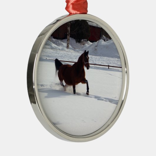 Sneeuwpaard Metalen Ornament (Rechts)