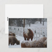 Sneeuwpaard, prettige kerst! feestdagenkaart (Voorkant / Achterkant)