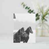 Sneeuwpaarden Briefkaart (Staand voorkant)
